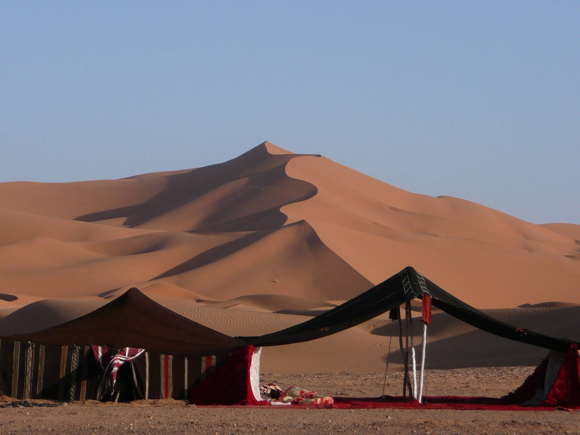 Rencontre Avec Les Nomades Du Sahara Immersion Dans Un Mode De Vie Rencontre Avec Les Nomades Du Sahara Immersion Dans Un Mode De Vie